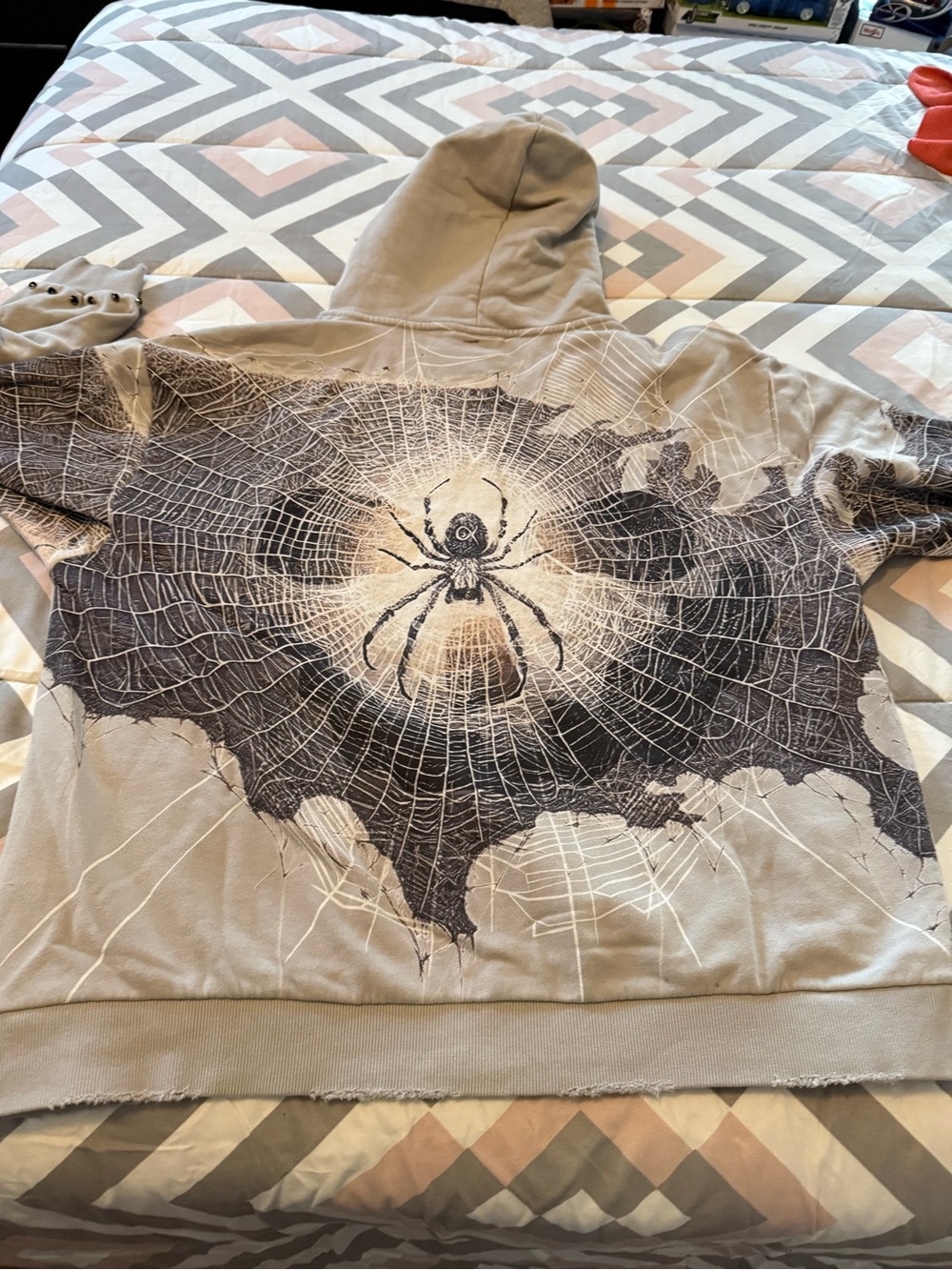 Stray Spider Web Graphic Hoodie in Taupe and Black